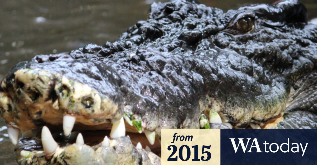 Shutdown Croc sighted on Broome's famous Cable Beach